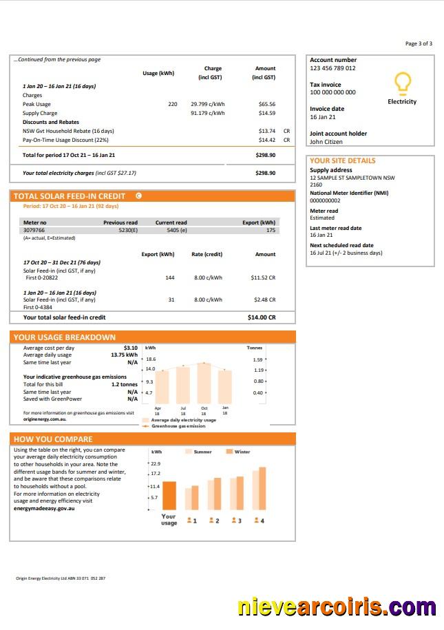 Australia New South Wales NSW Origin electricity utility bill 3